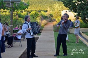 Violin & Accordion for Weddings