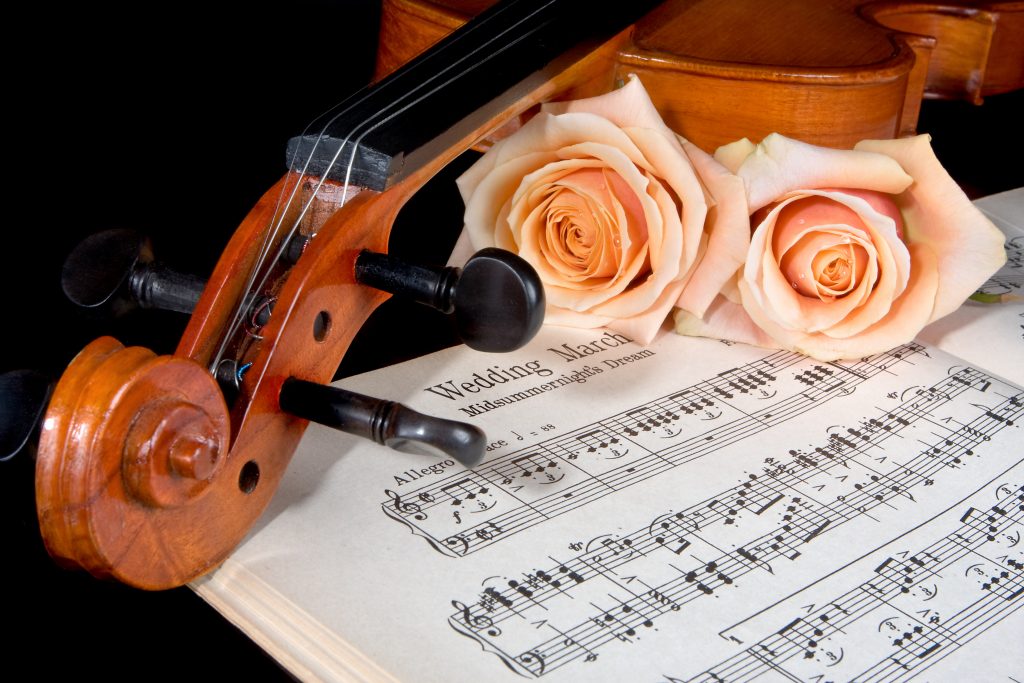 Wedding Musicians Cape Winelands